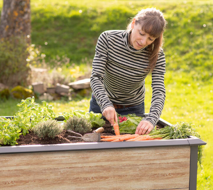 WESTMANN Hochbeet Primus Multi